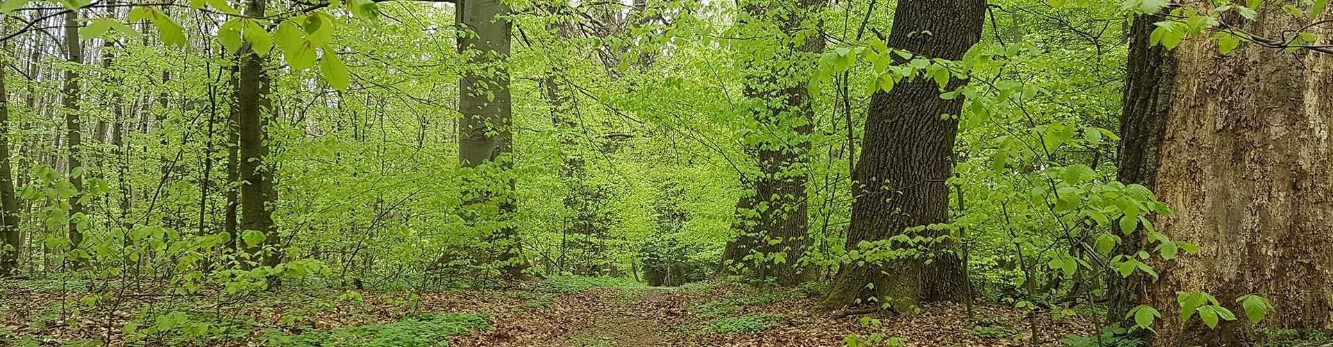 Pastoral traditions of the Polish-Ukrainian borderland