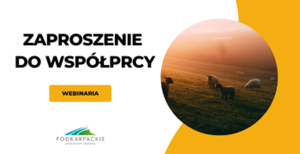 Zaproszenie do współpracy – prowadzenie webinariów